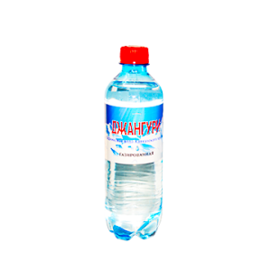 ВОДА ДЖАНГУРИ 0.5Л.